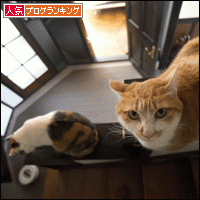 人気ブログランキングへ